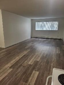 Wolseley Bachelor Suite Available November 1st - Photo 3