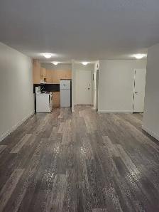 Wolseley Bachelor Suite Available November 1st - Photo 4