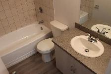 Wolseley Bachelor Suite Available November 1st - Photo 5