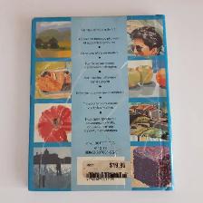LA PEINTURE À L`HUILE DE HELEN DOUGLAS-COOPER 100 ASTUCES: $5.00 - Photo 2