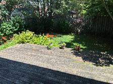 Semi-detached home for rent, West Ancaster - Photo 10