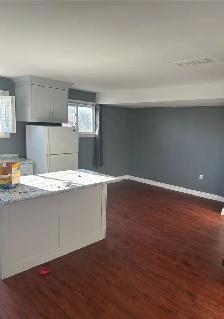 One Bedroom Apartment in Omemee - Photo 3