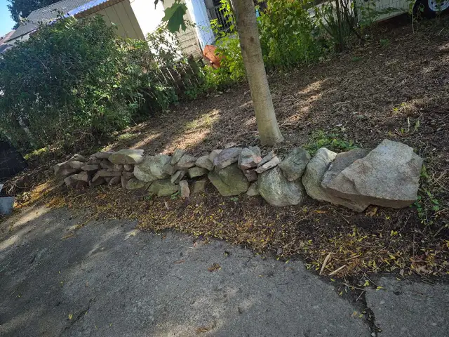 free field/landscaping stones
