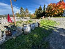 AUCTION - ANTIQUES & COLLECTABLES - SAT. OCT 31, 8 AM - Photo 6