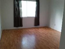 A beautiful lower unit of 4-plex for rent in Capitol Hills - Photo 6