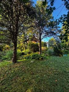 House for sale - Photo 4