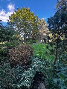 House for sale - Photo 5