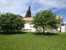 #3473 - 3 Bedroom/ 1.5 Bath Home For Rent $1800 Available now - Photo 21