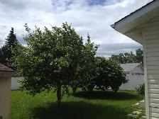 #3473 - 3 Bedroom/ 1.5 Bath Home For Rent $1800 Available now - Photo 22