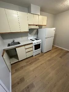 Bachelor Apartments Available Now in Minnow Lake Area
