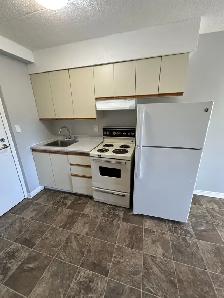 Bachelor Apartments Available Now in Minnow Lake Area - Photo 6