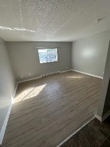 Bachelor Apartments Available Now in Minnow Lake Area - Photo 7