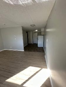 Bachelor Apartments Available Now in Minnow Lake Area - Photo 8