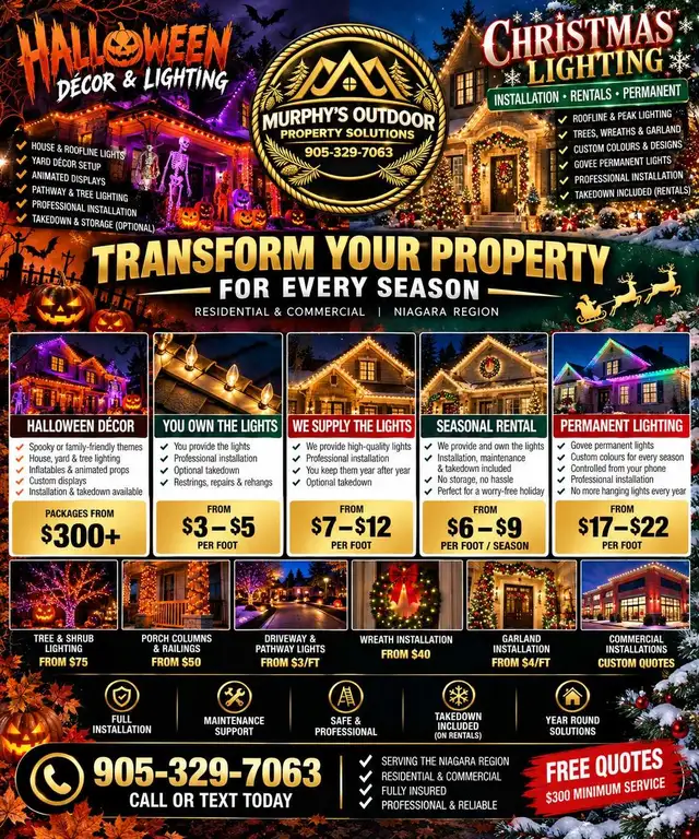 TIME FOR THE HOLIDAY LIGHTS