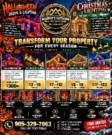 TIME FOR THE HOLIDAY LIGHTS