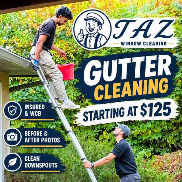 Calgary Gutter Cleaning From $125  | Insured   WCB