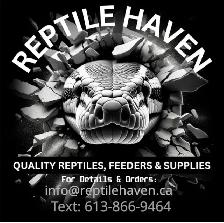 LIVE FEEDERS, MICE & RATS W/HOME DELIVERY! - Photo 5