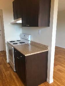 1 & 2 bedroom Nov 1 - Photo 2