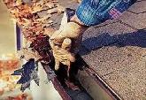 EAVESTROUGH CLEANING, REPAIRS call / text Stu @ 825-747-3124 - Photo 3