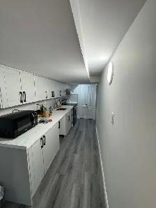 3 Bedroom Newly Finished Carpet-free Basement for Rent Kitchener - Photo 4