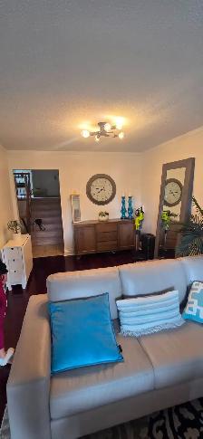 Brampton-Kennedy/Bovaird- Newly Renovated 3 Bdrm Apt Avail - Photo 14