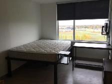 Student Bachelor Apartment Near U of M