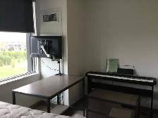 Student Bachelor Apartment Near U of M - Photo 2