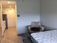 Student Bachelor Apartment Near U of M - Photo 3