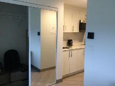 Student Bachelor Apartment Near U of M - Photo 6