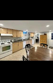 1 bedroom / 1 bathroom basement apartment for rent - Photo 2