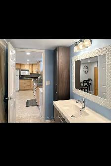 1 bedroom / 1 bathroom basement apartment for rent - Photo 10