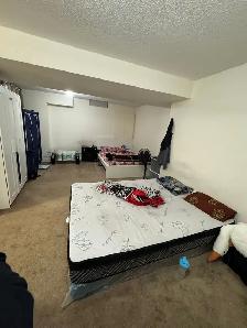 BACHELOR/ STUDIO APARTMENT FOR RENT IN BRAMPTON - Photo 3