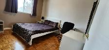 chambre à louer