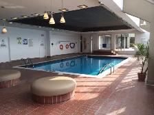 Downtown Bachelor - $1,299   Hydro November 1st - Photo 4