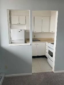 Downtown Bachelor - $1,299   Hydro November 1st - Photo 6
