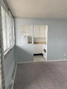 Downtown Bachelor - $1,299   Hydro November 1st - Photo 8
