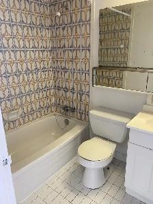 Downtown Bachelor - $1,299   Hydro November 1st - Photo 9