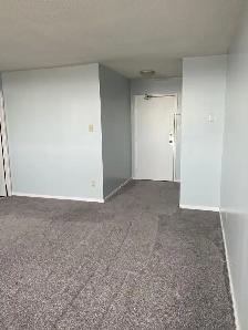 Downtown Bachelor - $1,299   Hydro November 1st - Photo 11