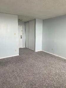 Downtown Bachelor - $1,299   Hydro November 1st - Photo 12