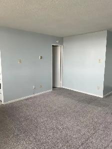 Downtown Bachelor - $1,299   Hydro November 1st - Photo 13