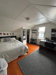 6 bedroom on Oxford St near Dal - May 1st