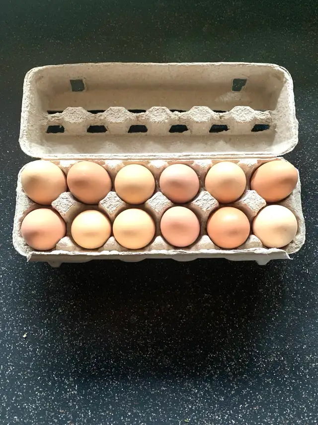farm fresh eggs