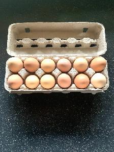 farm fresh eggs