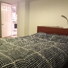 North York - 1 Bedroom - Detached House - Photo 7