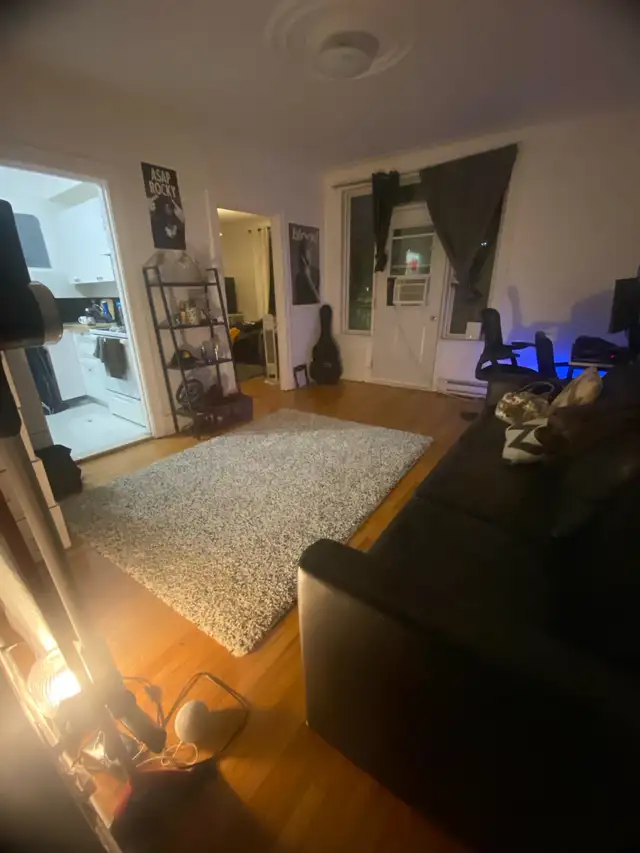 APARTEMENT 3 1/2