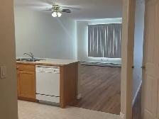 Mission Hill Village  Condo (55 ) (All Utilities Included!) - Photo 7
