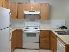 Mission Hill Village  Condo (55 ) (All Utilities Included!) - Photo 8