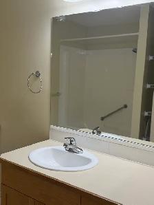 Mission Hill Village  Condo (55 ) (All Utilities Included!) - Photo 9