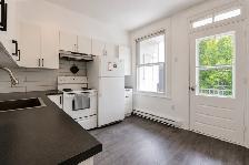 1 Bed Apartment- Rosemont petite patrie - Photo 4