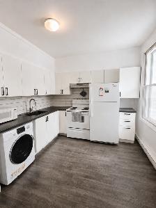 1 Bed Apartment- Rosemont petite patrie - Photo 5